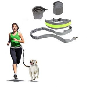 Retractable Adjustable Pet Dog Running Traction Rope